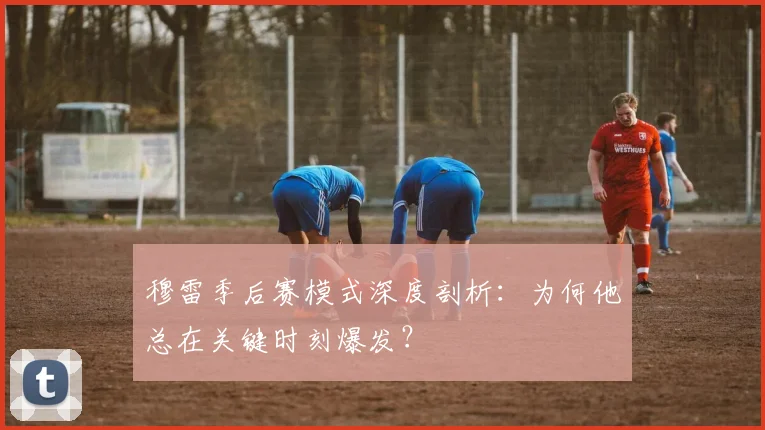 穆雷季后赛模式深度剖析：为何他总在关键时刻爆发？